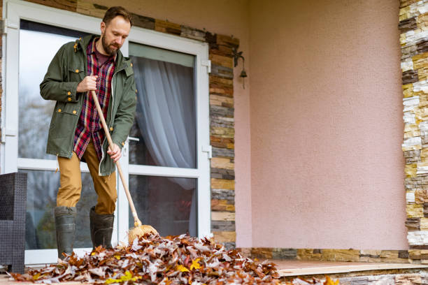 Best Household Junk Removal  in White Sulphur Springs, WV